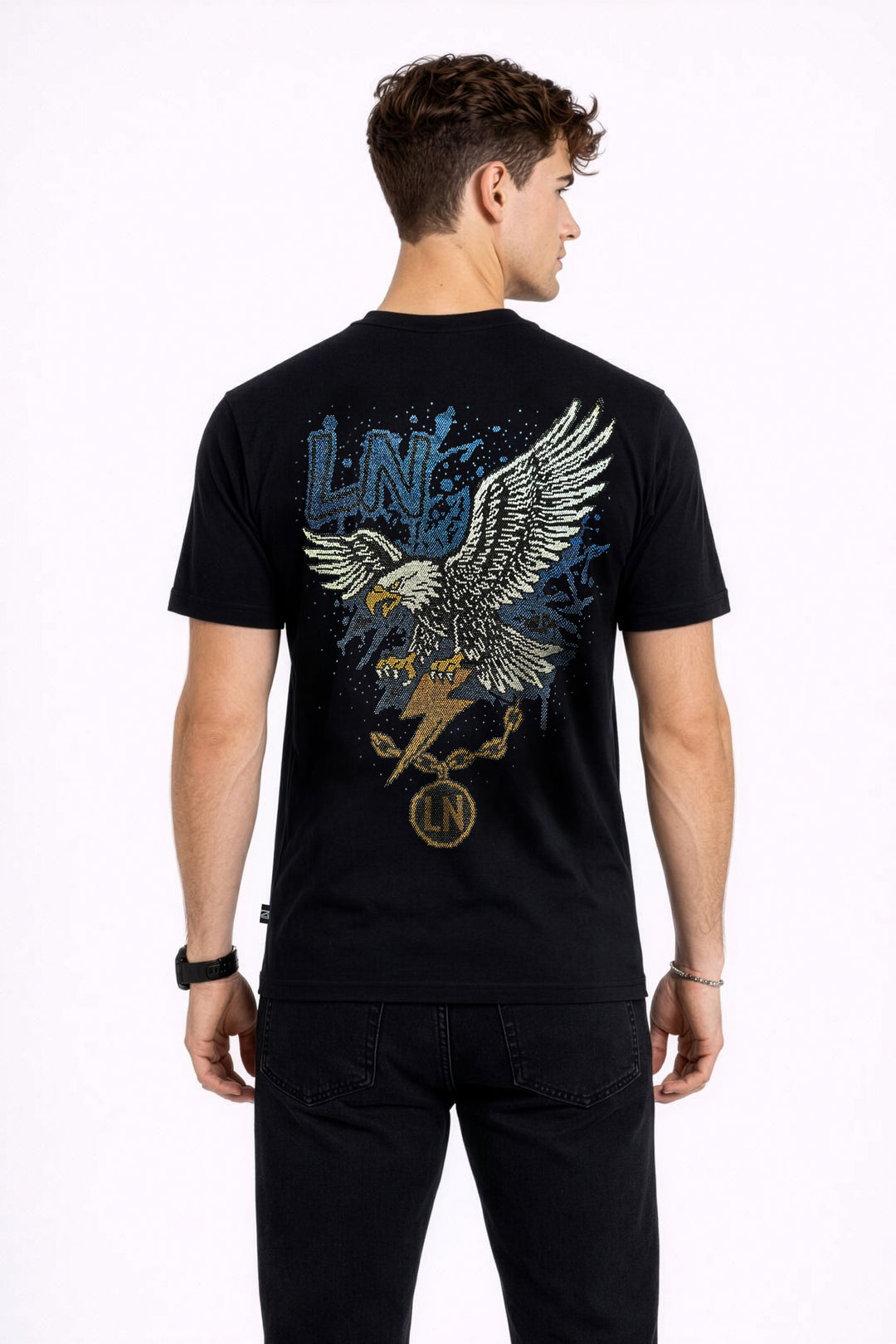 LN Eagle - "Skybreaker"