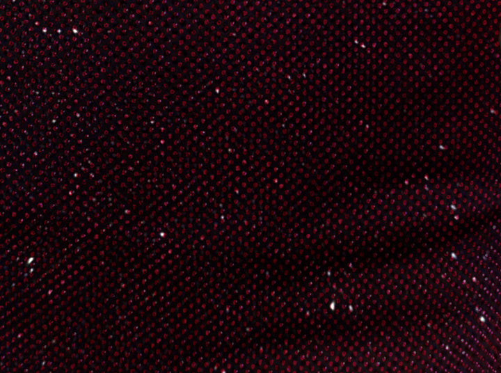 RUBY NOIR